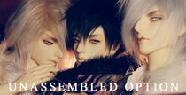 Unassembled Option