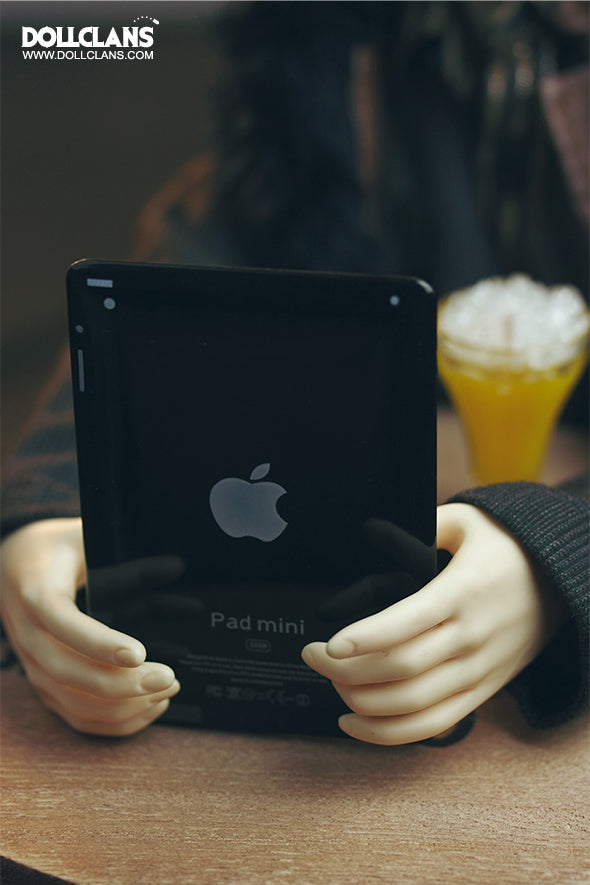 iPad (black/white)