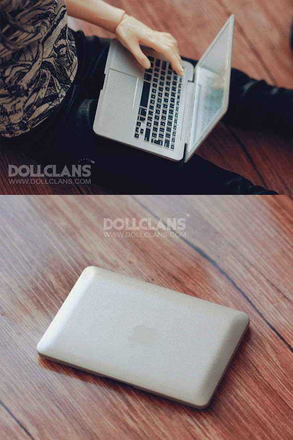 MacBook (white / silver)