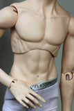 Y Line Body